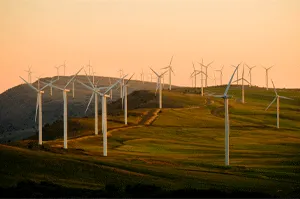 wind farm turbines