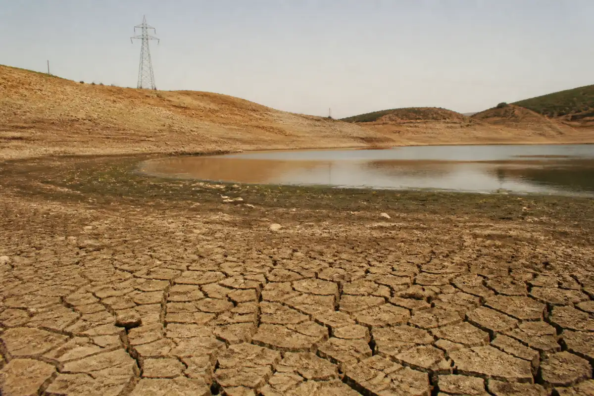 Summer 2026 in review: record heat, more than 2,700 heat deaths and a drought that gripped the country